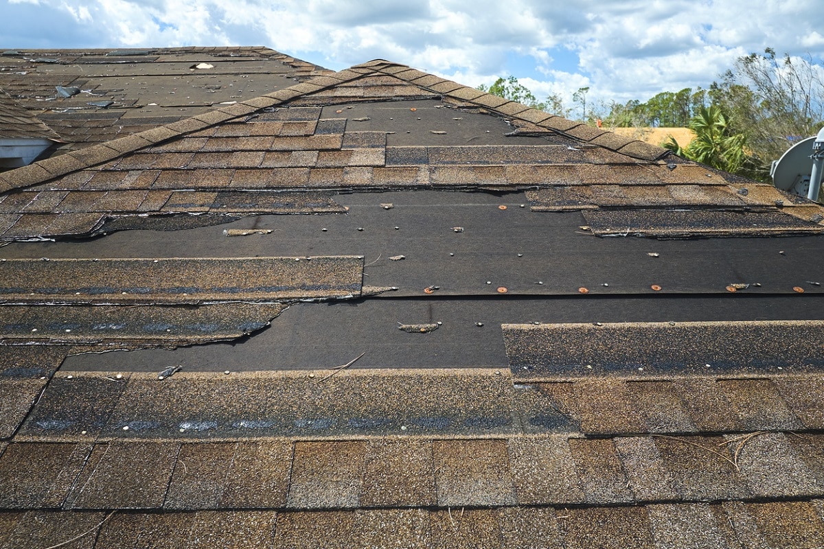 Damaged shingle roof with missing and lifted shingles exposing the underlying roofing material.