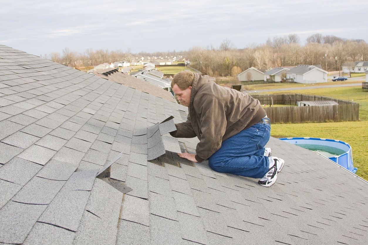 A roofer kneels on a shingled roof, inspecting and lifting damaged shingles to assess the roof for repairs.